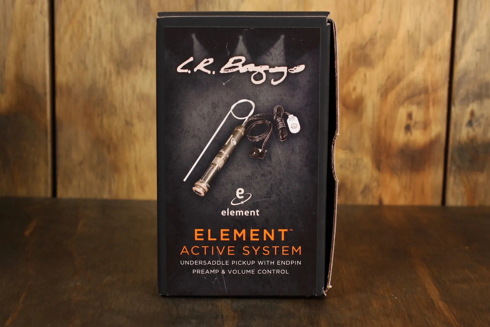 LR Baggs EAS Element Active System